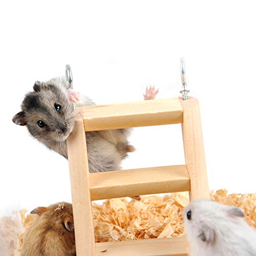 HORYDIA Hamster kauwen speelgoed natuurlijke houten cavia speelgoed tanden zorg molar speelgoed voor hamster cavia… - Image 3