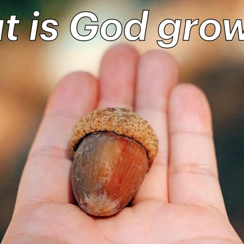 S2 Ep2287: "What is God growing?" | Malcolm Cox | 07 September 2025 Podcast Por arte de portada