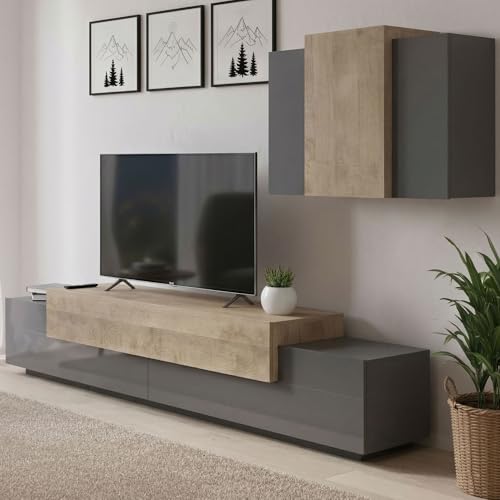 Dmora - Élément Mural Ruben, Ensemble de Salon Meuble TV, Meuble de Salon Polyvalent, 100% Made in Italy, 240x45h180 cm, Anthracite et Érable