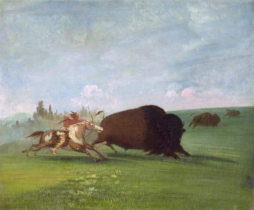 Affiche Décorative Graffiti Art Mural George Catlin pour Salon Moderne