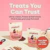 Pupford Freeze Dried Training Treats for Dogs & Puppies, 225+ Three Ingredient Bites (Beef Liver, 2 oz) #1