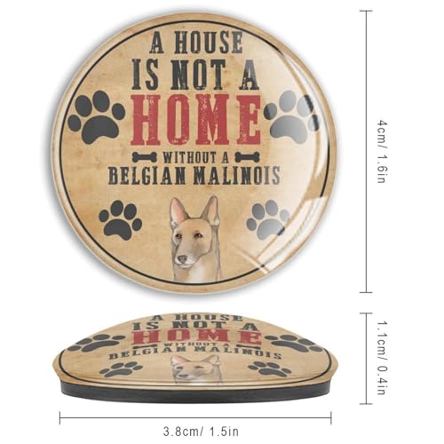 Aimants de réfrigérateur Malinois en verre de qualité - 4