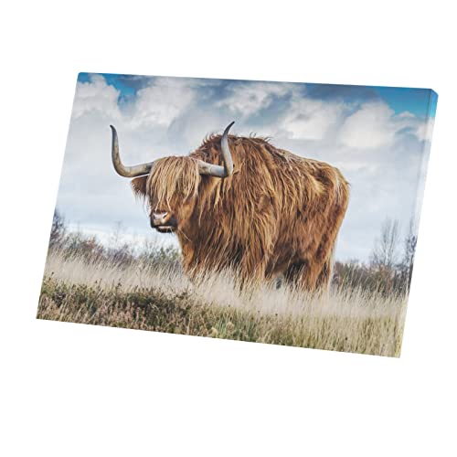 Tableau taureau highland toile imprimée 60x40 pour grand mur vide