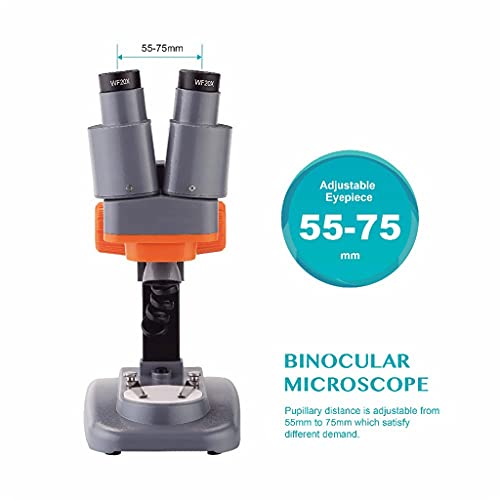 SilteD Microscópio estéreo binocular 40x para pcb, amostra mineral de solda, observação de crianças,