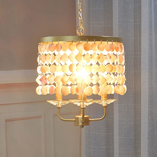 Lustre Suspendu Coquillage : Kit Luminaire Ajustable pour Plafond Bas
