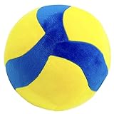Pallavolo Riempito - Decorazione Culturale Divertente E Tenero Pallavolo Russo Riempimento | Per Camera Da Divano Divano Scrivania Bambini Ragazze Adulti Amici Adolescenti Amanti Dello