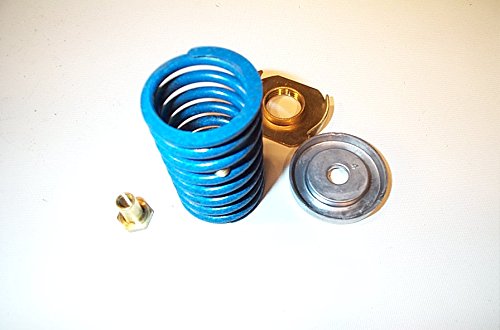 Johnson Controls V-4332-6001 Valve Spring Kit