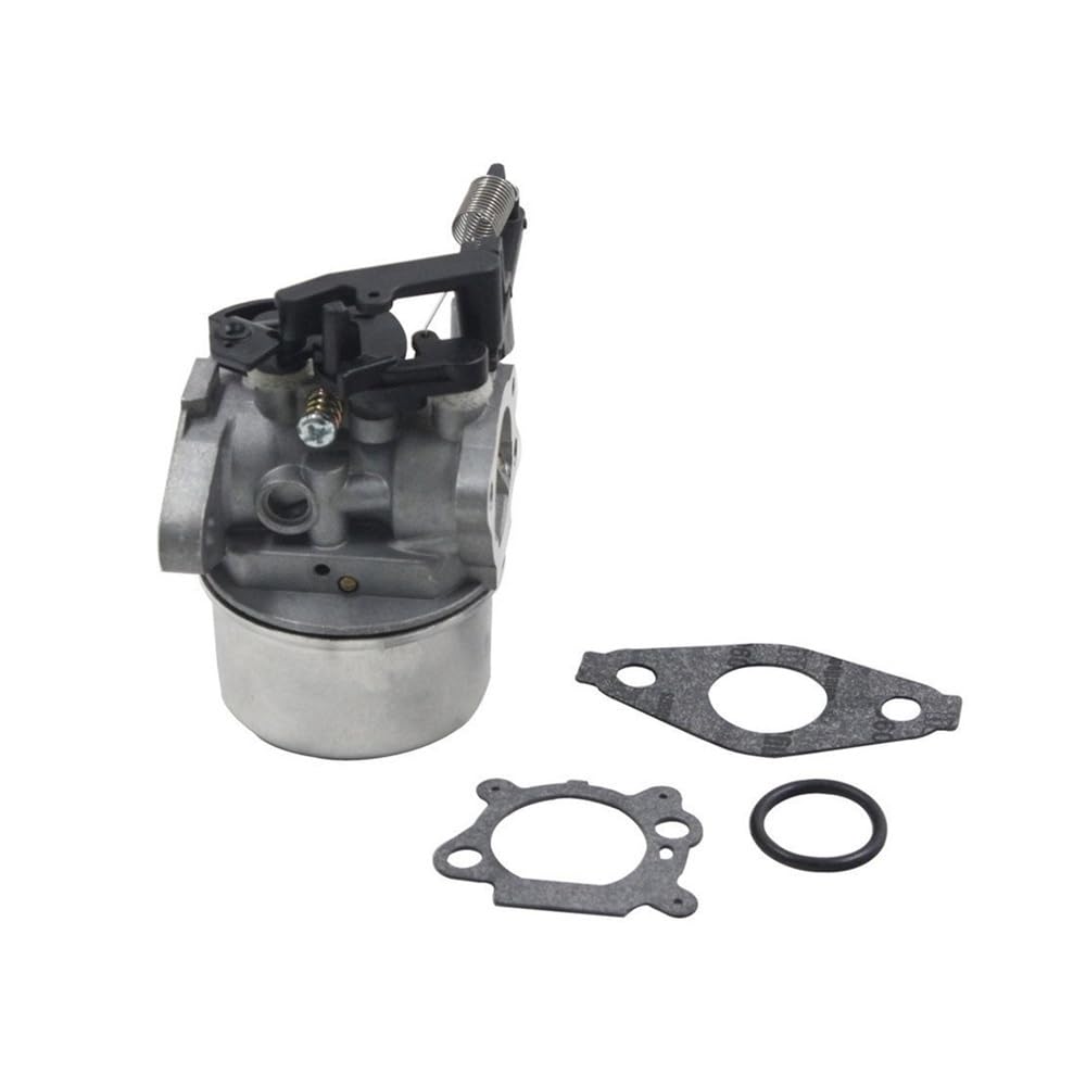 Carburateur 799248 pour tondeuse Briggs & Stratton moteurs séries 111000 114000 11P000