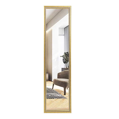 FANYUSHOW Full Length Mirror Wall Mirror,Dressing Mirror/Modern Concise PS Frame Wall Mounted Mirror,14"x50"