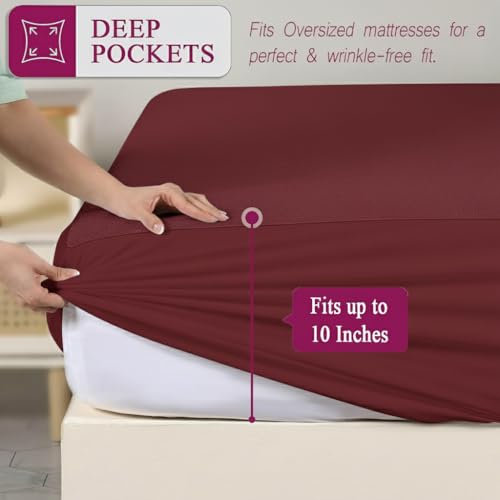 Image of Trance Cotton Feel Terry Ultra Soft Waterproof Mattress Protector | Breathable - Hypoallergenic Mattresses Cover (75x60 inch | 6.25x5 feet, Maroon - Pack of 1)