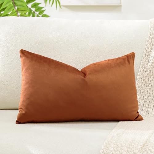 Artscope Luxury Velvet Cushion Covers Super Soft Decorative Throw Pillow Covers Case Lumbar Cushion Cases for Sofa Couch Bedroom Car Decor 30x50cm Orange - Image 2