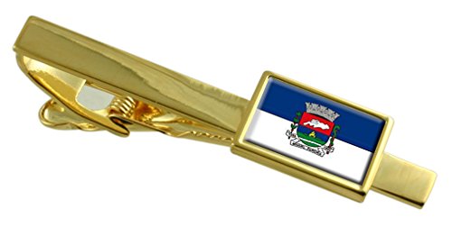 Pisacorbatas de oro Miguel Pereira personalizado con grabado del Pabellón de Río de Janeiro
