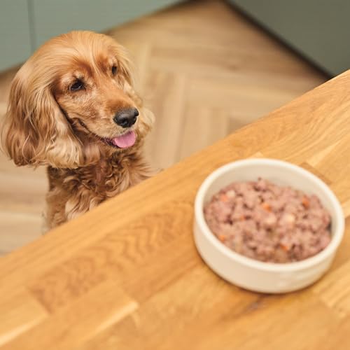 Lily's Kitchen Mit natürlichen Zutaten hergestellt Für ausgewachsene Hunde Nassfutter-Dose Eine englische Gartenparty (6 x 400g) – Ansicht 5