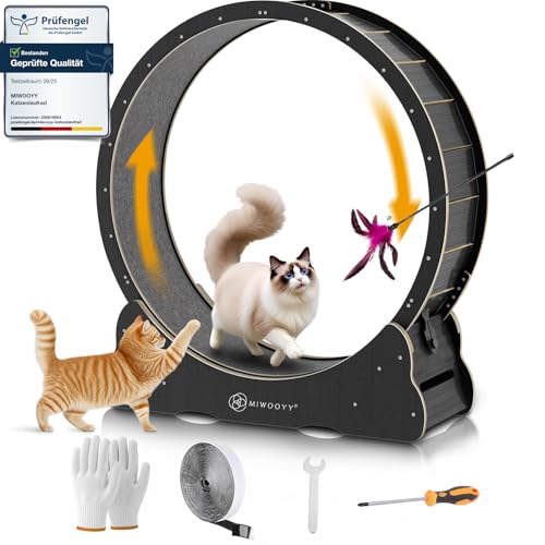Großes schwarzes Massivholz-Katzenrad 101,6 cm, Sicherheits-Laufband mit Schloss und minimiertem Spaltdesign für Indoor-Katzen