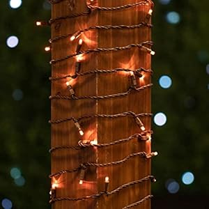 Novelty Lights 11 Feet 50 Light Brown Wire LED Christmas Lights Outdoor Commercial Grade Amber 5mm Bulbs UL Listed Connectable up to 470 Feet