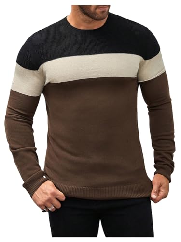 WDIRARA Men's Crew Neck Long Sleeve Sweater Color Block Knitwear Casual Pullover Tops
