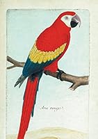 Carnet Ligna(c) Ara Rouge, Dessin 18e Sia]cle 201911917X Book Cover