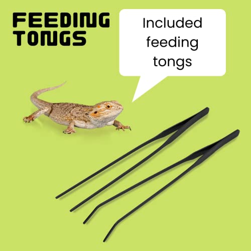 Stoney Kiko Reptile Lamp Stand - Perfect For Reptile Tanks & Terrariums , Used For Amphibian Habitats, Adjustable Height, Complete With 2 Piece Tweezer Feeding Tongs #TOP2