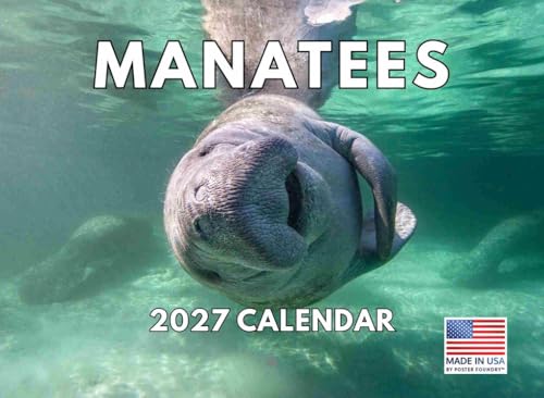 Manatee Calendar 2027 Monthly Wall Calender 12 Month