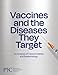 Vaccines and the Diseases They Target: An Analysis of Vaccine Safety and Epidemiology