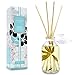 LOVSPA Lush Palm & Jasmine Reed Sticks Oil Diffuser by Tranquil Scent Made with Premium Essential Oils | Green Palm, Jasmine, Lily of the Valley & Earthy notes