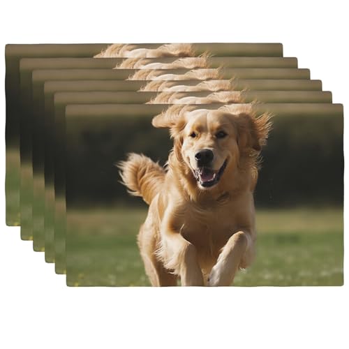 Set de table Golden Retriever facile à nettoyer pour table sans tache - 2