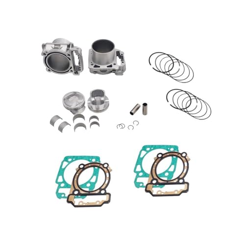 Kit de 2 cylindres de haute précision avec bagues pour BRP800 référence 420413430