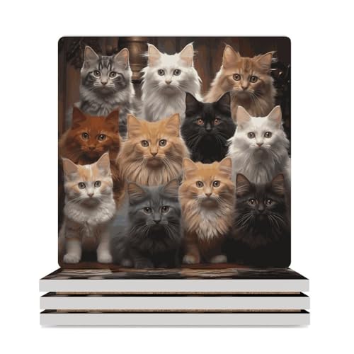 Dessous de verre chat réutilisables pour table basse lot de 4 protège-table lavables