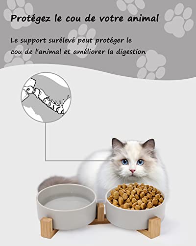 Futternapf Hund Keramik Futternapf Katze Doppelt Futternapf für Hunde und Katze mit Bambus Ständer und Rutschfester Unterlage (400ml, 2-Grau)