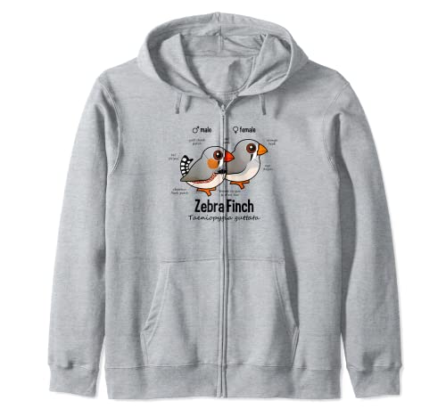 Cute Cartoon Zebra Finch Statistics | Zebra Fink Statistics Zip Hoodie