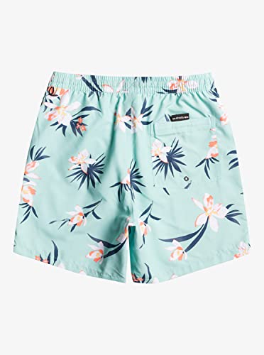 Quiksilver Men's Standard Everyday Mix 17 Volley Swim Trunk Boardshort2