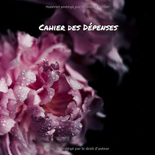 Cahier des Dépenses: Inscrivez toutes vos dépenses dans cet agenda de poche pour suivre facilement Cahier des Dépenses: Inscrivez toutes vos dépenses dans cet agenda de poche pour suivre facilement
