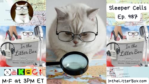 Sleeper Cells | In the Litter Box w/ Jewels Jones & Catturd &ndash; Ep. 987 &ndash; 3/13/2026