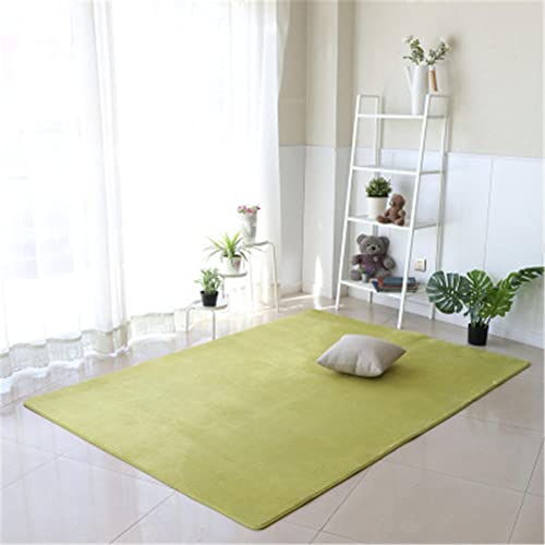 Tapis moderne vert de salon DASHADAO pour sol glissant grand tapis shaggy doux de chambre