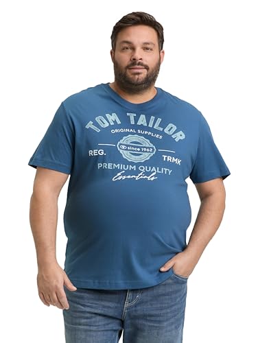 TOM TAILOR Herren T-Shirt