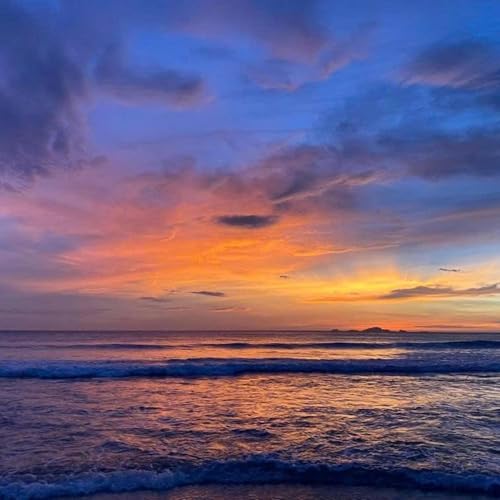 #18: Sức mạnh chữa l&agrave;nh của nước | My Heart Garden