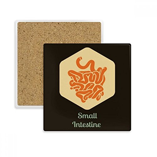 Sous-verre absorbant motif anatomie petit intestin pour protéger votre table - 2