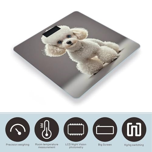 Poodle Báscula Digital para Baño Precisa y Moderna miniatura 3
