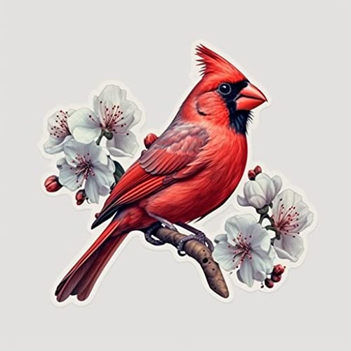 Image of Yoonek Graphics North Carolina Northern Cardinal Bird Dogwood Flower Vinyl Decal Sticker for Car, Laptop, Tumbler, More. #009078-6