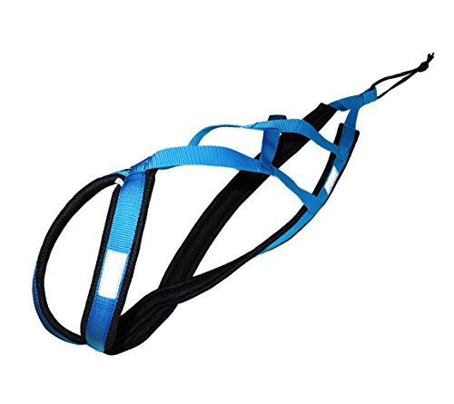 Northern Howl X-Back Zuggeschirr Fuer Bike-, Skijoring Dogscooting Canicross Schlitten in Blau (S)