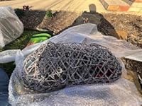 Review Image by Squirrel 737 Squirrel 737