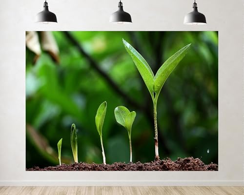 Trykid 10x6.5ft Fresh Green Young Sprout Seedling Backdrop Dewy Fresh