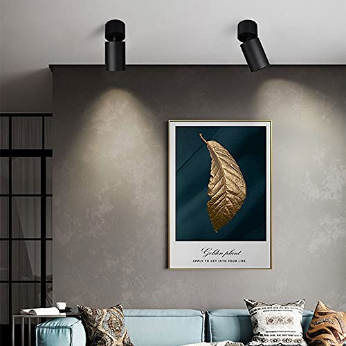 10W LED plafonnier Spot de Plafond de la Surface d'intérieur Mount Spot Spot, luminaires de Plafond réglable, Salon Couloir Spot directeurs, galerie éclairage d'image (Color : Black-6000K) - Image 3