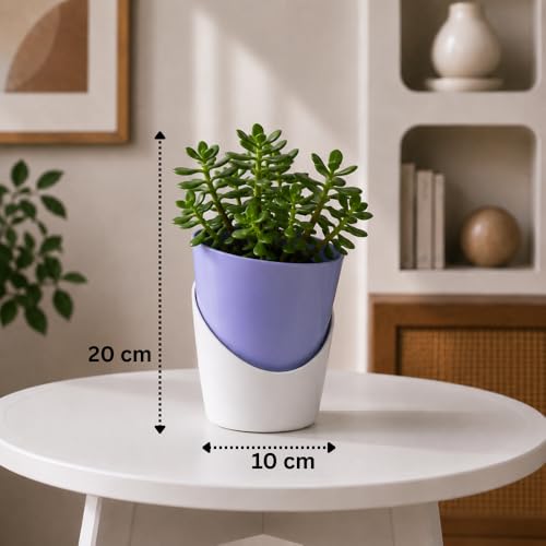 Image of Urban Upvan 4 Inch Self Watering Pot with Jade Plant | Indoor Decorative Planter with Drainage System | Ideal for Home, Office & Desk Decor | Cyan
