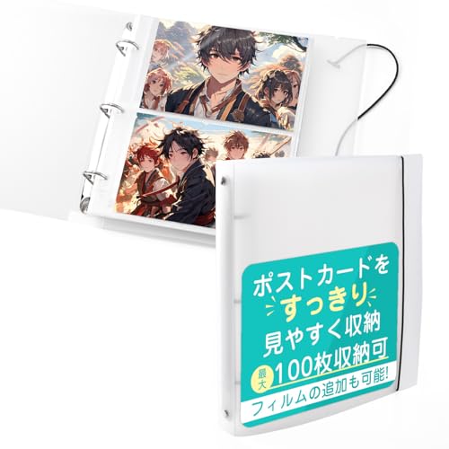 |XgJ[hz_[ |XgJ[h t@C ^Cv[ő100[(16×10.5cm)/oC_[ŃtB̒ǉł] [SELECTsk]