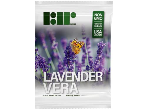 600+ Lavender Seeds For Planting - Heirloom Non-Gmo Usa Grown - English Lavender Vera Herb Seeds In Premium Packaging By Rdr Seeds #TOP3