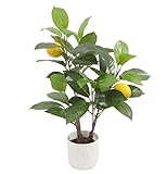 2 Pack Artificial Lemon Trees 19.7' Faux Plants with White Marble-Look Pot,...