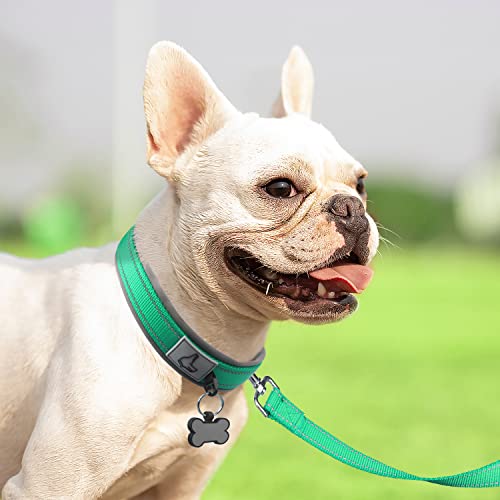Image of Joytale Dog Collar for Small Dogs, Neoprene Padded and Adjustable, Reflective Wide Heavy Duty Pet Collars with Durable Metal Belt Buckle for Walking, Teal, S