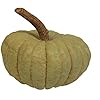 Amazon.com: Hickory Manor House Long Stem Pumpkin for Home Decor, Sage ...