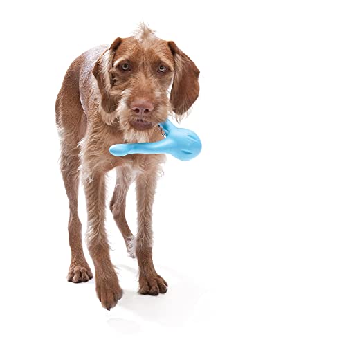 West Paw Tizzi Treat Assorted Dog Chew Toy, Large #TOP2